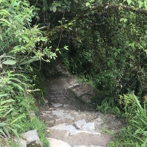 Meet your Posher, Tara